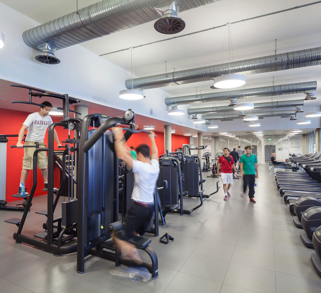 Photograph of the fitness gym. 11 of 20