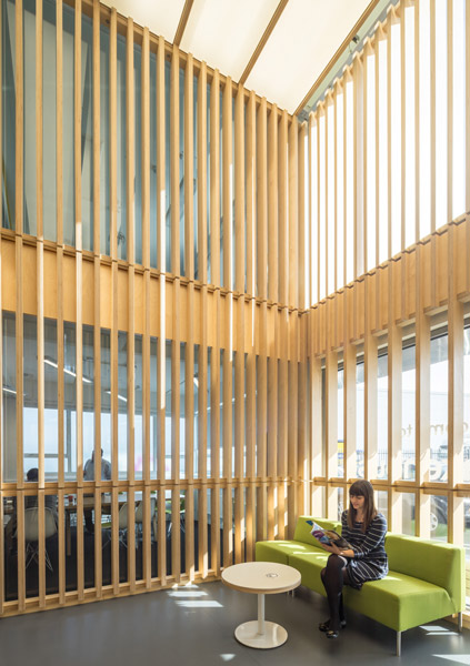 Office reception, featuring vertical timber louvres, 01 of 08