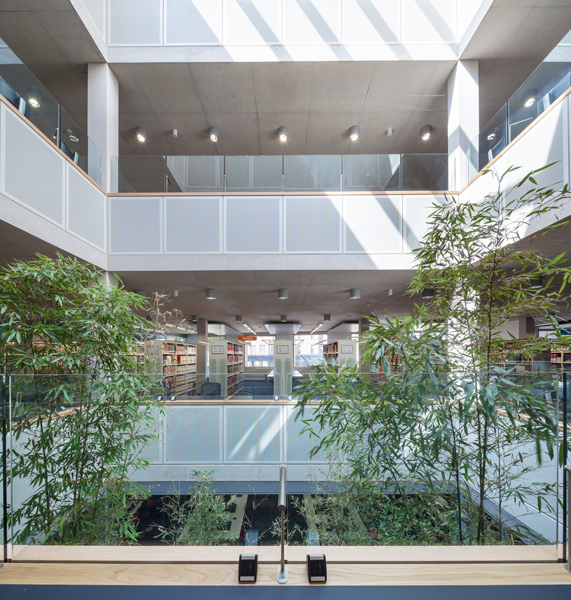 Interior photographer, planting in the light-filled atrium, 07 of 07