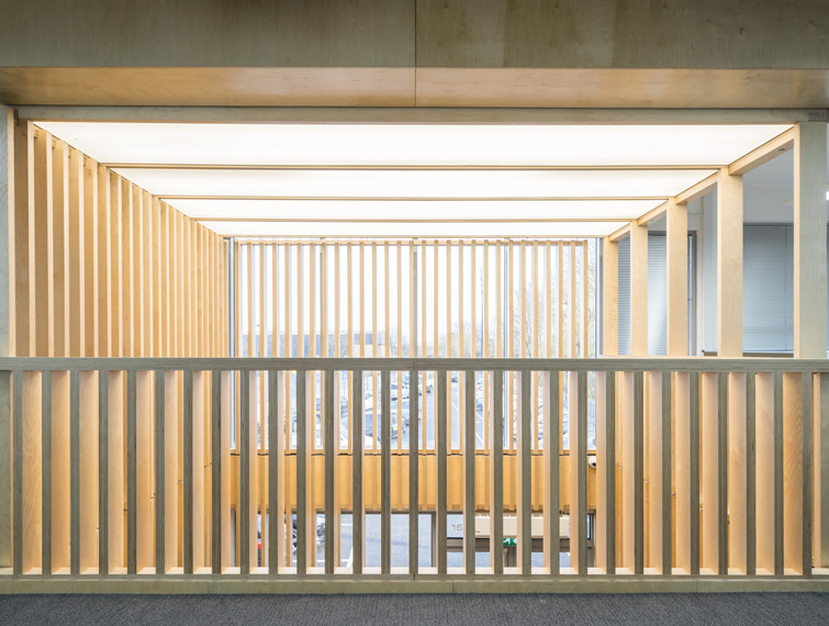 Photo of the architectural timber design that is defining the space, 08 of 08