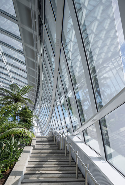Staircase view showing the glazed facade system, 11 of 12